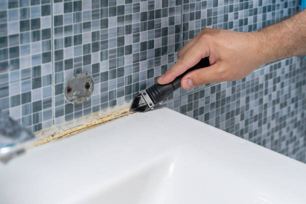 Best Mold Remediation for Specific Building Types in South Venice, FL